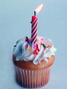 One year of blogging! (c)iStockphoto / Sandra O'Claire