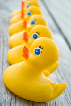 Get your ducks in an evenly distributed row (c) Shutterstock